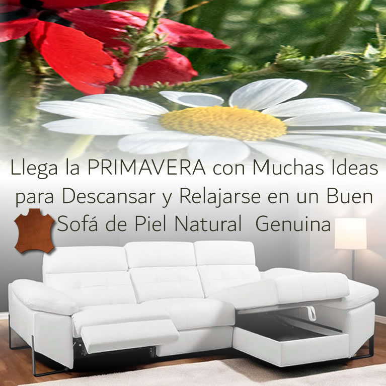 sofas piel y cuero